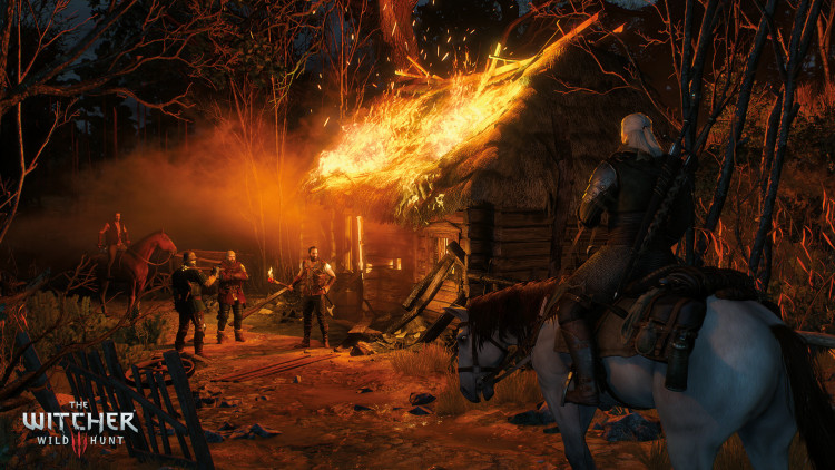 The Witcher 3: Wild Hunt, Steam Gift