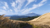 Forza Horizon 6 - Premium Edition, Steam Gift
