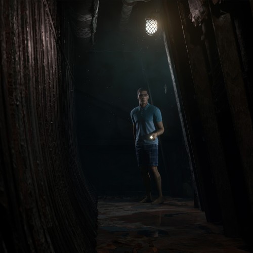 Игра The Dark Pictures: Man of Medan для PC / ПК, активация в стим Steam для региона РФ / Россия цифровой ключ