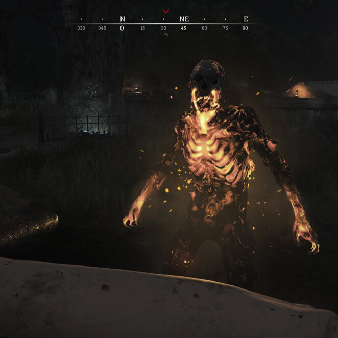 Игра Hunt: Showdown - Collector's Edition PC, Steam Gift регион Россия, РФ