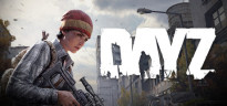DayZ Cool Edition, Steam Gift