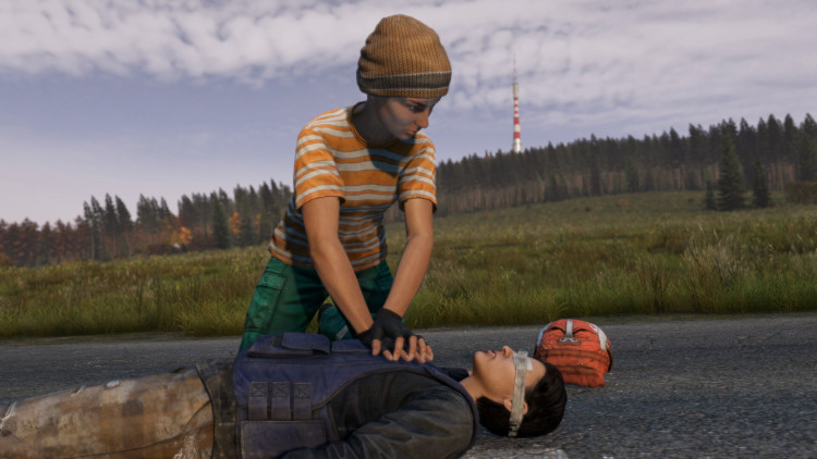DayZ Cool Edition, Steam Gift