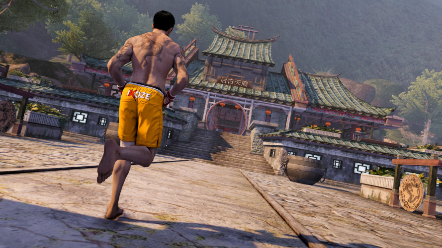 Sleeping Dogs: Definitive Edition, Steam Gift