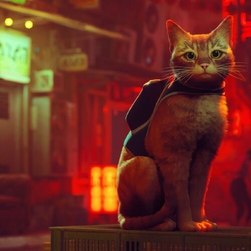 Игра Stray PC, Steam Gift регион Россия, РФ