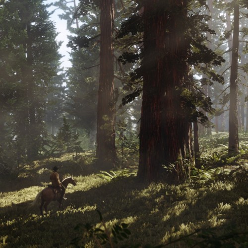 Игра Red Dead Redemption 2 Rockstar цифровой ключ