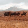 Игра Red Dead Redemption 2 Rockstar цифровой ключ