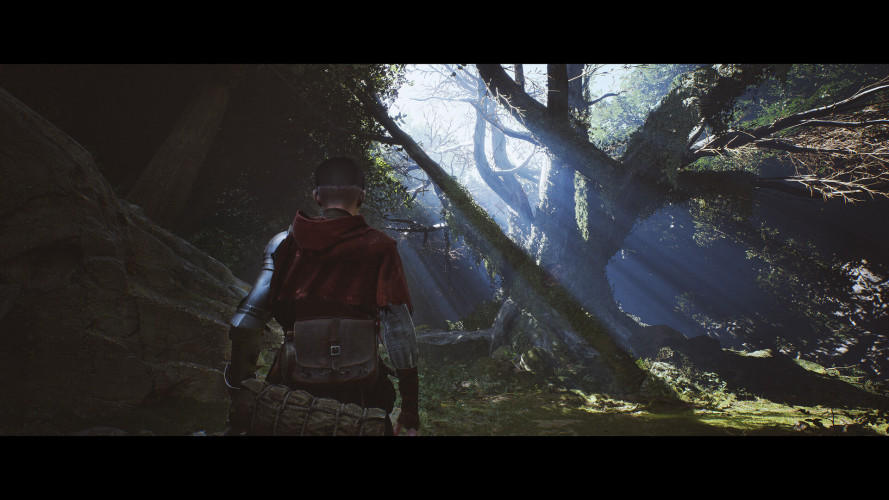 1348 Ex Voto, Steam Gift