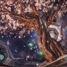 Игра ADR1FT PC / ПК, активация в стим Steam для региона РФ / Россия цифровой ключ