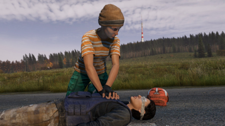 DayZ Deluxe Edition, Steam Gift
