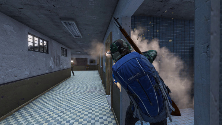 DayZ Deluxe Edition, Steam Gift