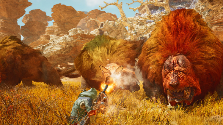 Monster Hunter Wilds, Steam Gift