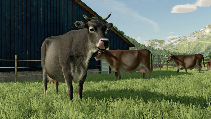 Farming Simulator 22, Steam Gift