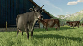 Farming Simulator 22, Steam Gift