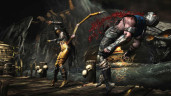 Mortal Kombat X, Steam Gift