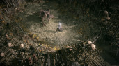 Path of Exile 2 - Early Access Supporter Pack (Special), Steam Gift