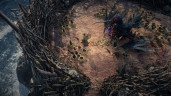 Path of Exile 2 - Early Access Supporter Pack (Special), Steam Gift