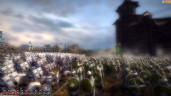 Real Warfare 2: Northern Crusades - Northern Crusades, Steam Gift
