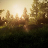 Игра The Last of Us Part I Deluxe Edition для PC / ПК, активация в стим Steam для региона РФ / Россия цифровой ключ 