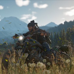 Игра Days Gone для PC / ПК, активация в стим Steam для региона РФ / Россия цифровой ключ