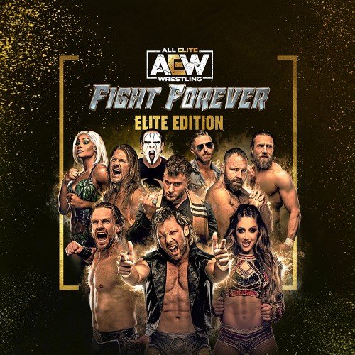 Игра AEW: Fight Forever Elite Edition PC / ПК, активация в стим Steam для региона РФ / Россия цифровой ключ