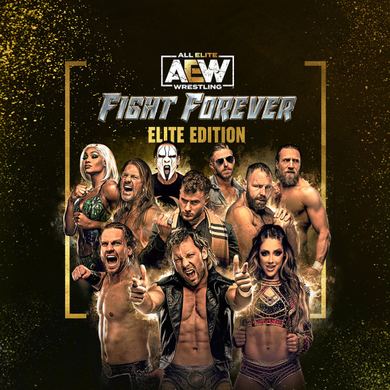 Игра AEW: Fight Forever Elite Edition PC / ПК, активация в стим Steam для региона РФ / Россия цифровой ключ