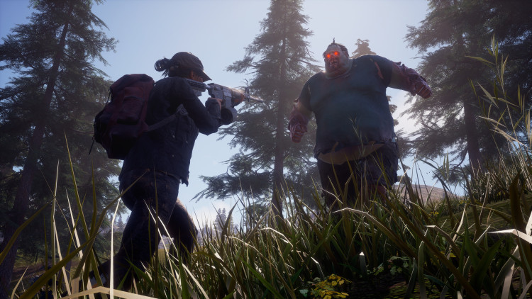 State of Decay 2: Juggernaut Edition, Steam Gift
