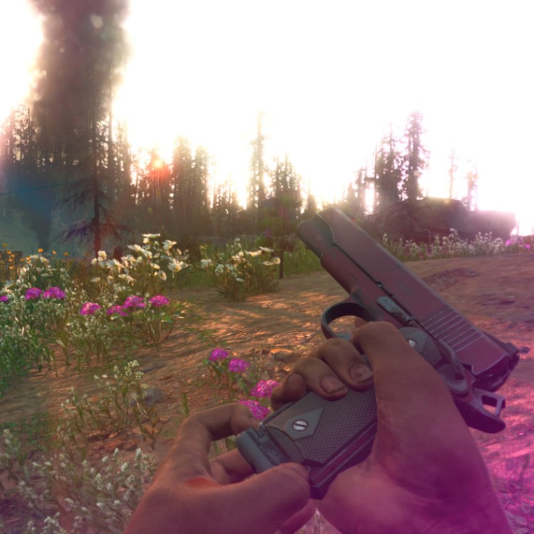 Игра Far Cry New Dawn PC, Steam Gift регион Россия, РФ