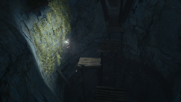 Bramble: The Mountain King, Steam Gift