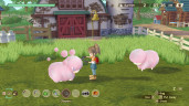 STORY OF SEASONS: A Wonderful Life, Steam Gift