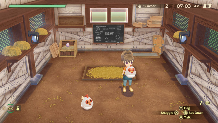 STORY OF SEASONS: A Wonderful Life, Steam Gift