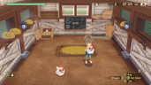 STORY OF SEASONS: A Wonderful Life, Steam Gift