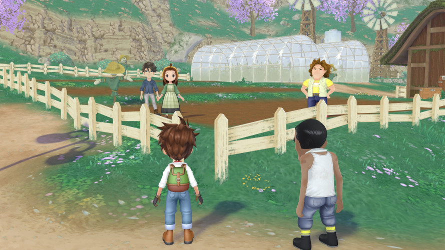 STORY OF SEASONS: A Wonderful Life, Steam Gift