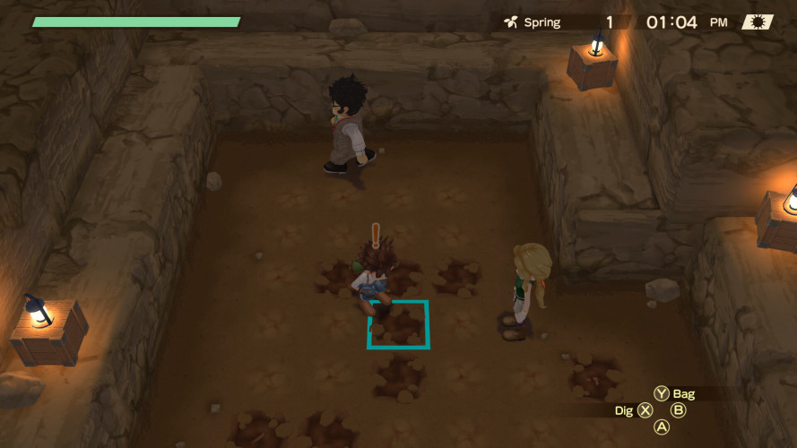 STORY OF SEASONS: A Wonderful Life, Steam Gift