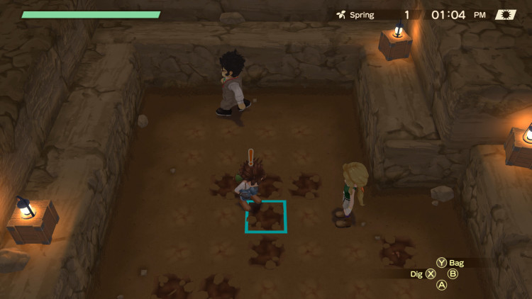 STORY OF SEASONS: A Wonderful Life, Steam Gift