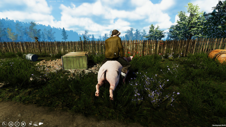 Farmer's Life, Steam Gift