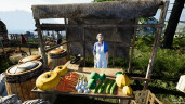 Farmer's Life, Steam Gift