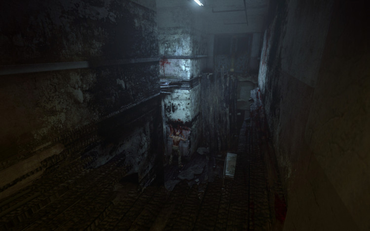 Outlast, Steam Gift