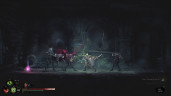 Mandragora: Whispers of the Witch Tree, Steam Gift