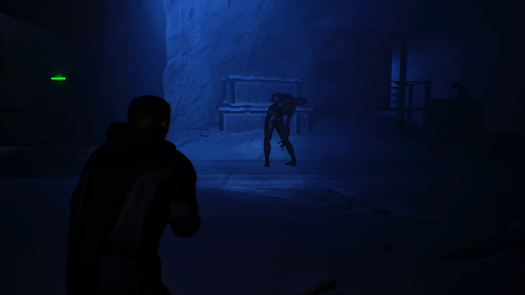 The Black Ice, Steam Gift