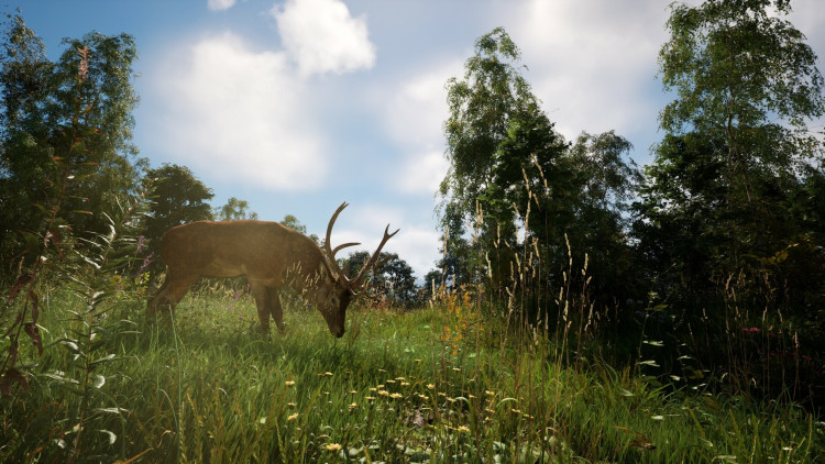 DREADZONE, Steam Gift