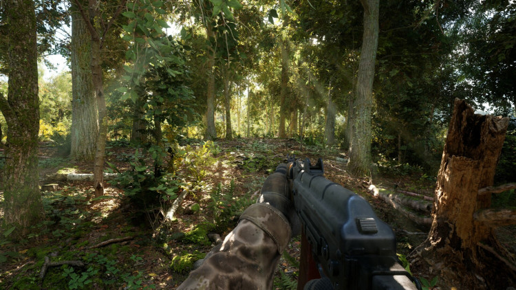 DREADZONE, Steam Gift