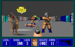 Wolfenstein 3D - Wolf Pack, Steam Gift