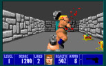 Wolfenstein 3D - Wolf Pack, Steam Gift