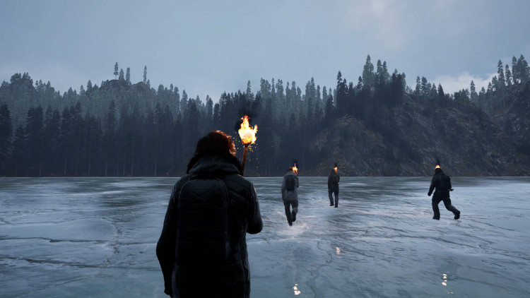 The Gold River Project, Steam Gift