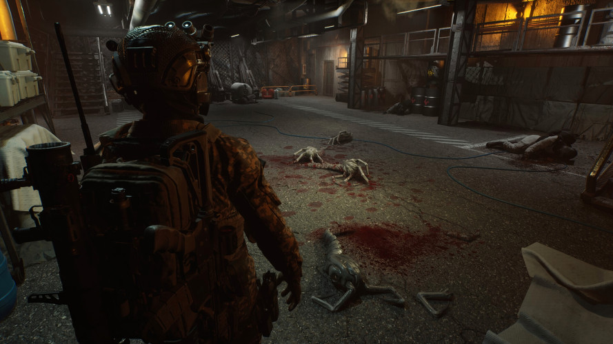 ENTITY: THE BLACK DAY, Steam Gift