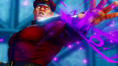Street Fighter V - Champion Edition + Season 5 Premium Pass Bundle, Steam Gift