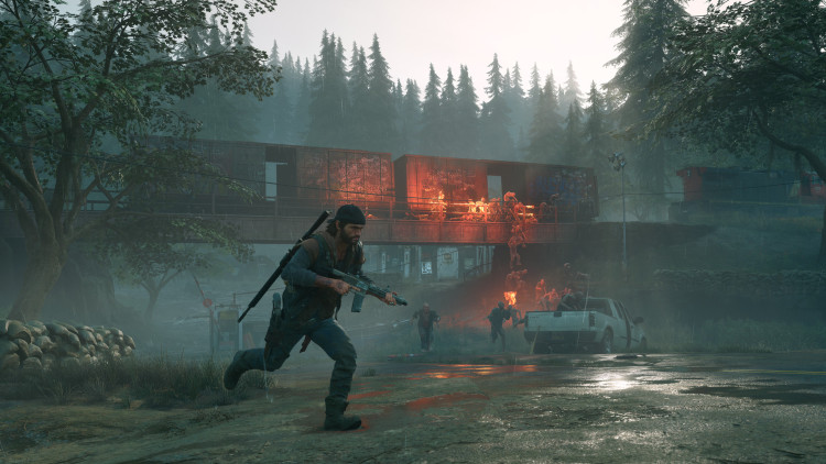 Days Gone, Steam Gift