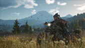 Days Gone, Steam Gift
