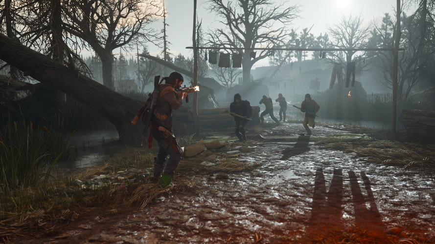 Days Gone, Steam Gift