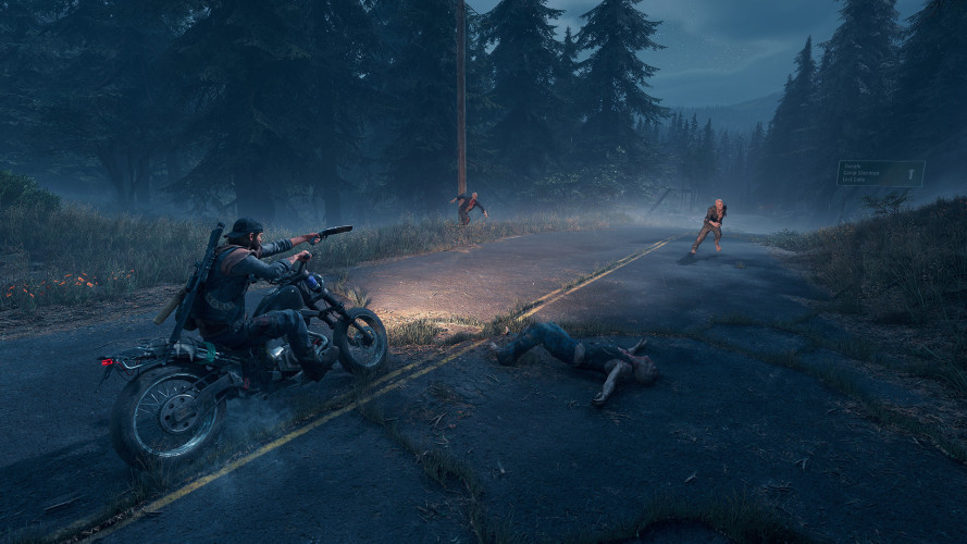 Days Gone, Steam Gift